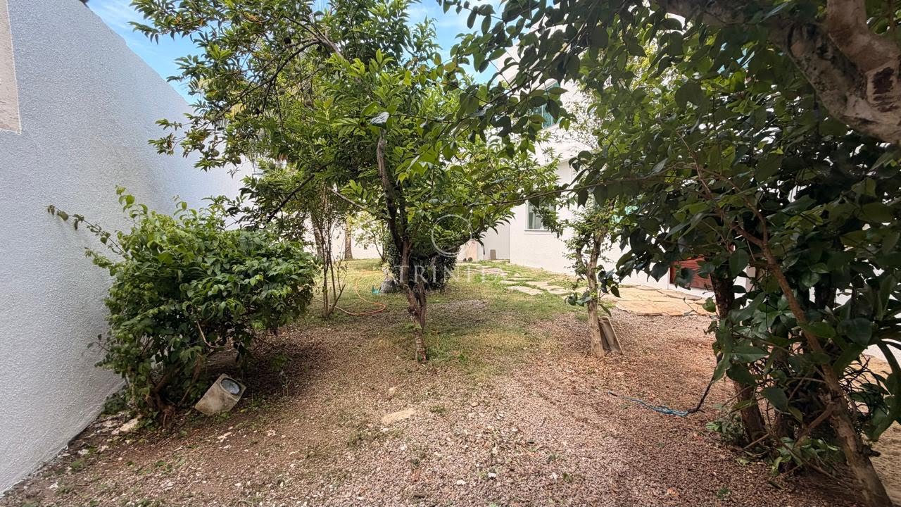 Jardim 