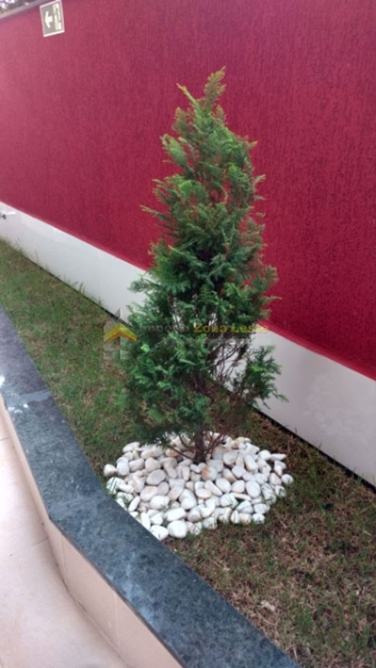 Apartamento, 4 quartos, 388 m² - Foto 54