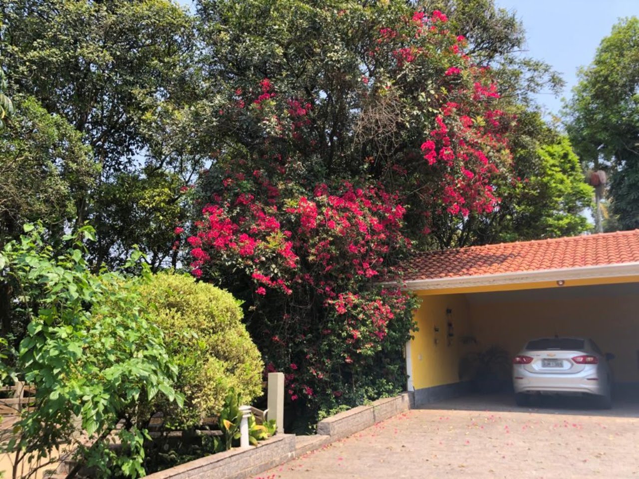 Foto 08