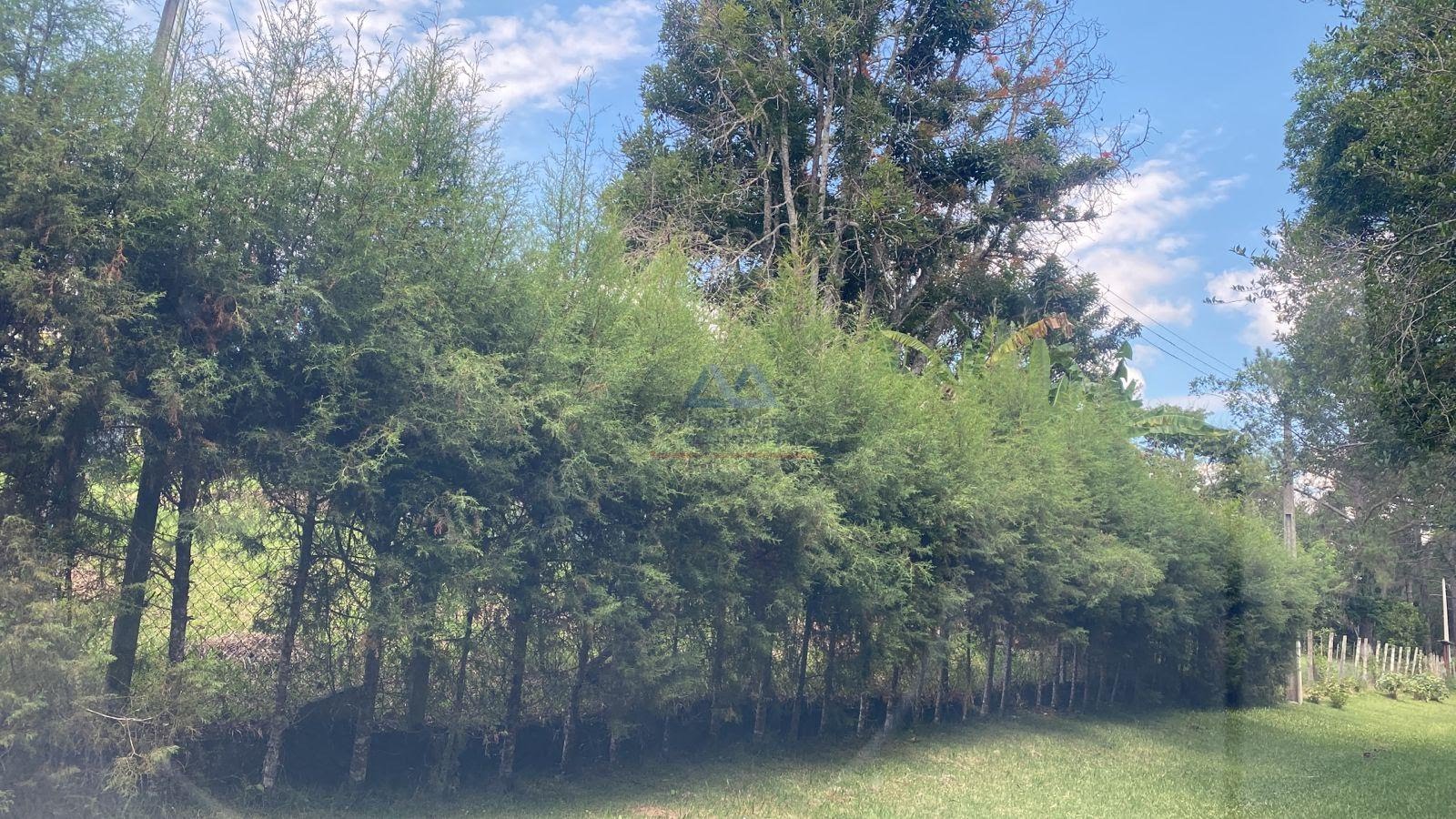 Rural à venda com 1800m² de terreno no Sorocabuçu, Ibiúna (SP) — foto 29 de 30