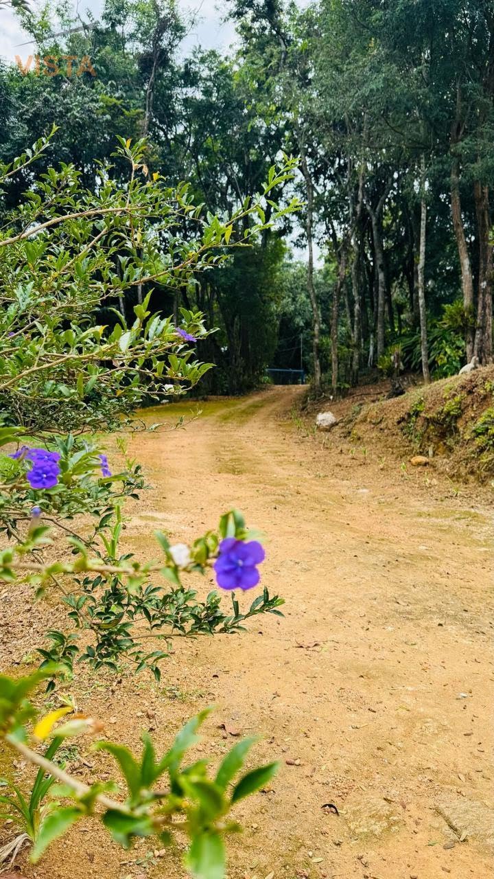 Rural à venda com 121000m² de terreno no São Roque da Fartura, Águas da Prata (SP) — foto 11 de 30