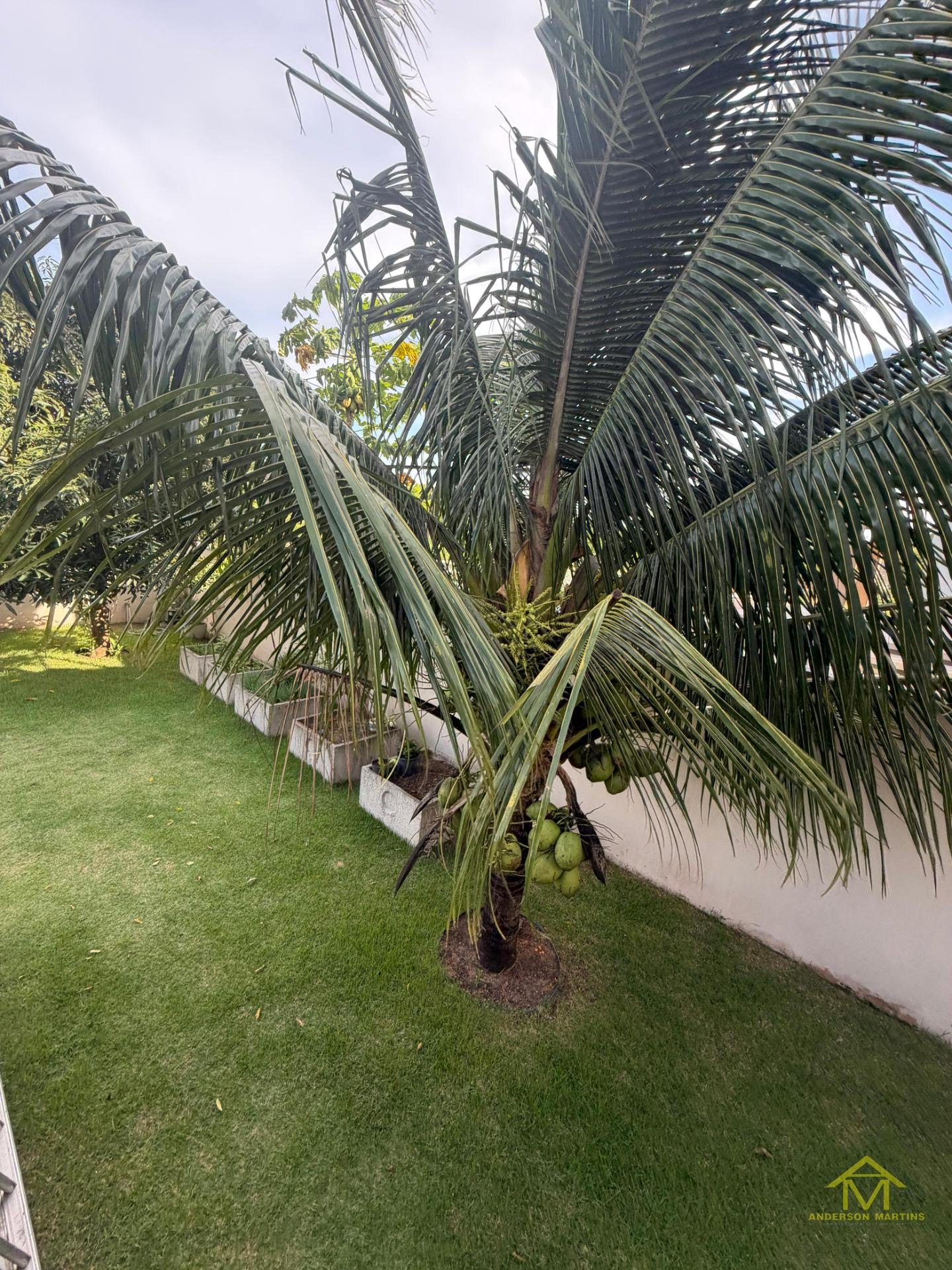 Casa à venda com 4 quartos, 6 banheiros, 4 vagas e 600m² no Santa Paula I, Vila Velha (ES) — foto 8 de 20