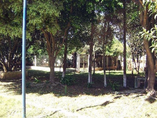 Galpão em Cidade Parque Alvorada  -  Guarulhos