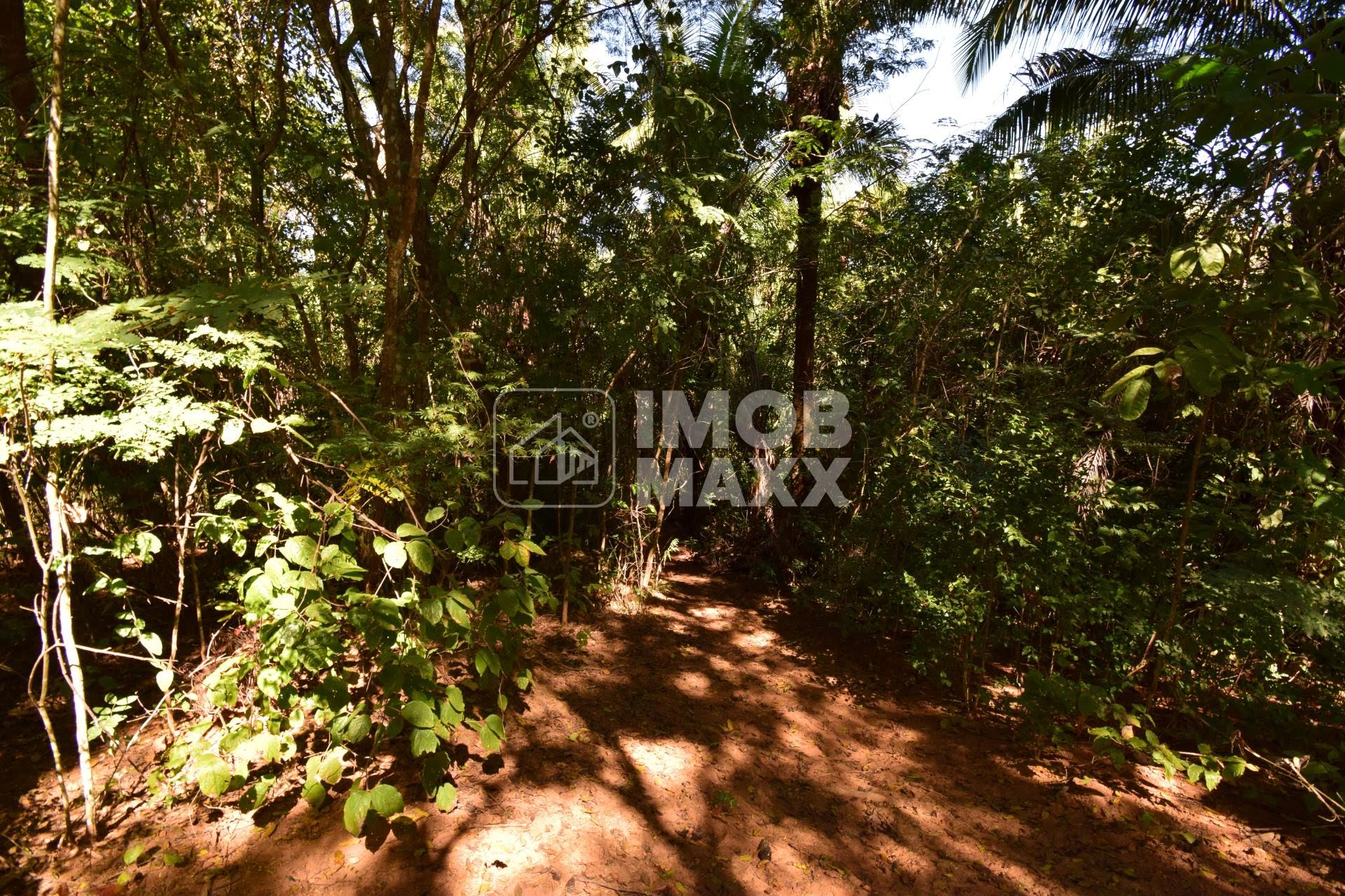Chácara, 5 quartos, 5 hectares - Foto 35