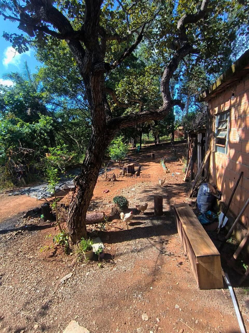 Rural à venda com 1395m² de terreno no Estrela Dalva, Caetanópolis (MG) — foto 11 de 14