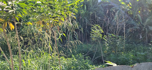 Lote / Terreno em Cidade Nova  -  Itaperuna