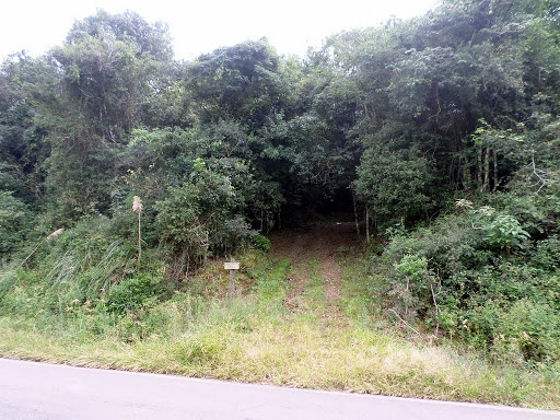 Foto 03