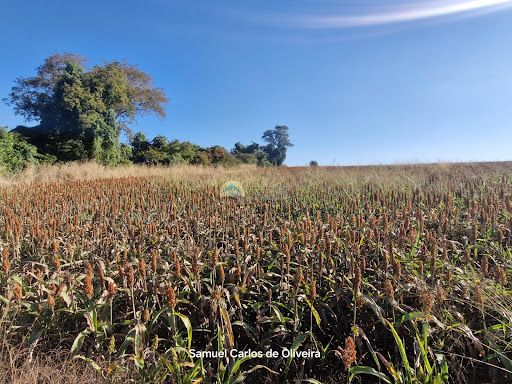 fazenda a venda em casa branca