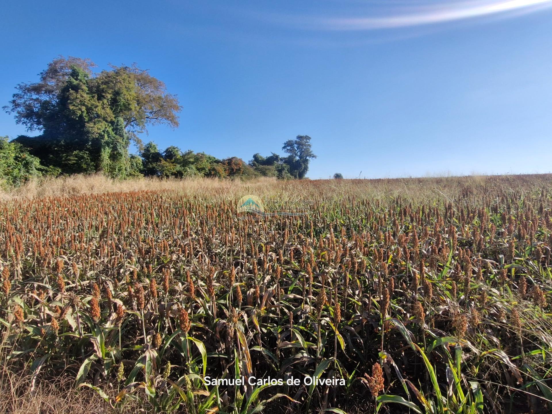 fazenda a venda em casa branca