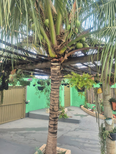 Casa em Tijuca  -  Campo Grande