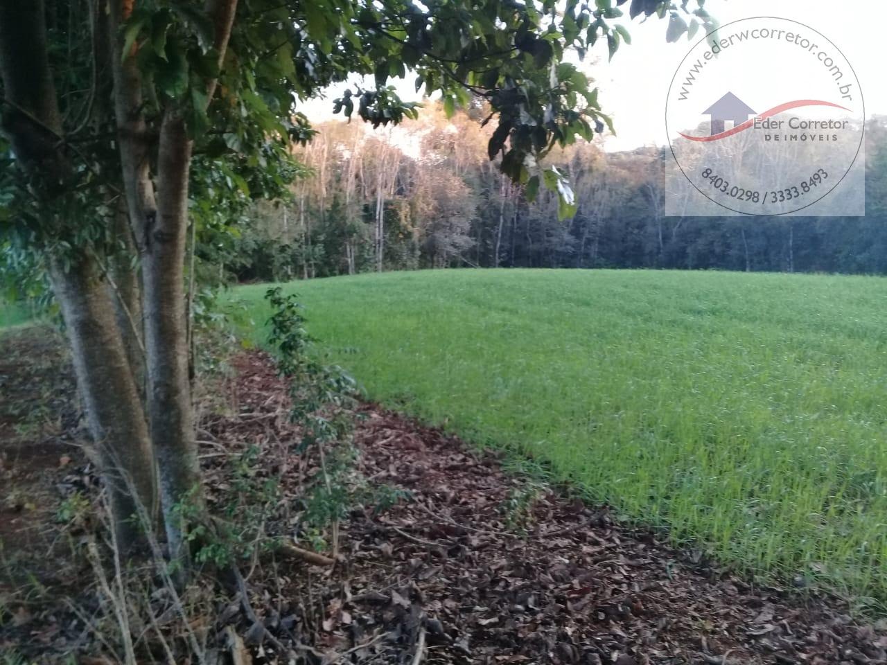 Rural à venda com 21250m² de terreno no Interior, Ijuí (RS) — foto 2 de 6
