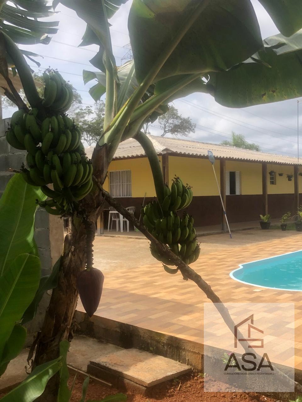 Chácara, 3 quartos, 1000 m² - Foto 15